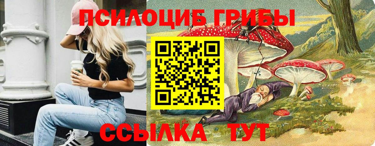 Новосибирск  Псилоцибиновые грибы мухоморы  Вход с VPN  Псилоцибиновые грибы мицелий 