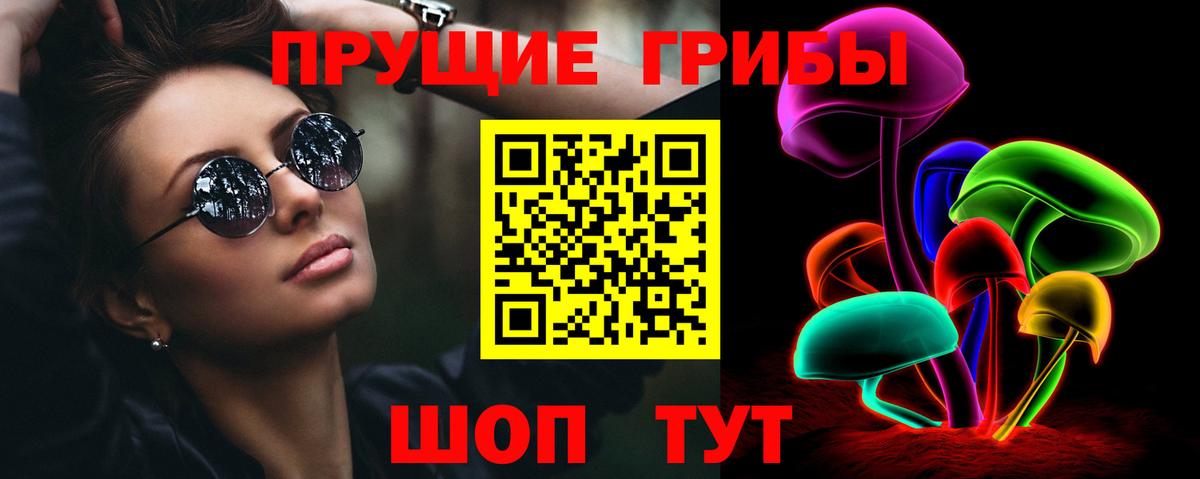 Псилоцибиновые грибы GOLDEN TEACHER Новосибирск